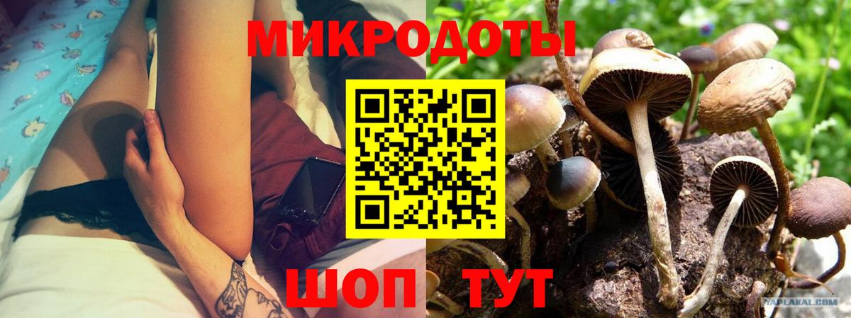 Галлюциногенные грибы мухоморы Иваново